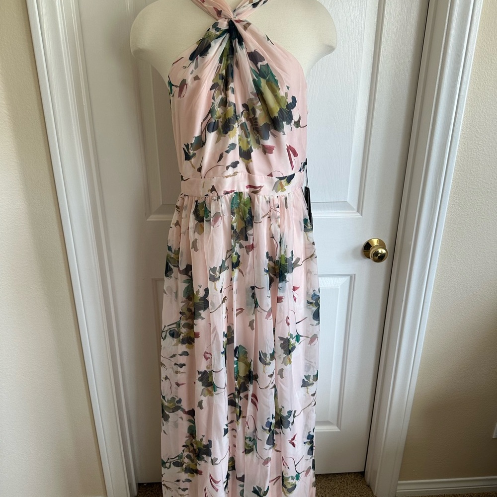 Adrianna Papell Blush Multi Floral Organza Gown